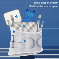 Back Support Brace Belt