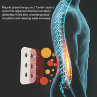 Back Support Brace Belt